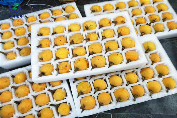 定做枇杷托的材料是環(huán)保的嗎？