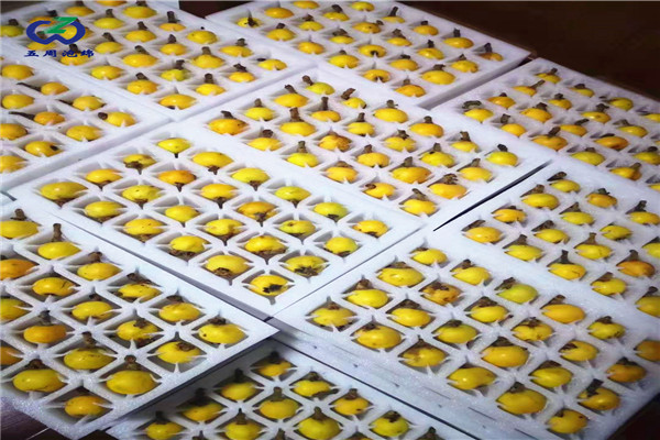 枇杷內(nèi)托定做的材料只有防震的作用嗎？