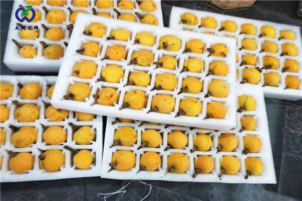 常見的水果內(nèi)托定做材料是什么？